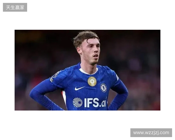 帕尔默：此前连输四场滋味并不好，赢维尔港让大家重拾好心情